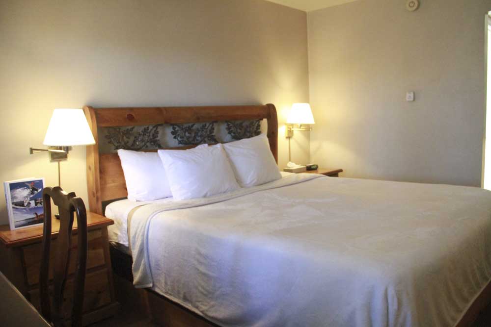 Hotel Room 1 King / Handicapped Accessible