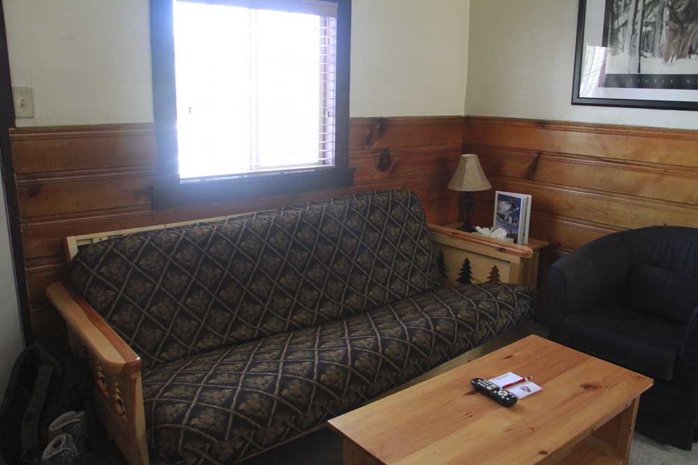 Rustic Chalet Studio 1 King 1 Futon with Fireplace